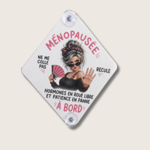 Plaque de Voiture Personnalisée Aluminium Adulte– Ventouses