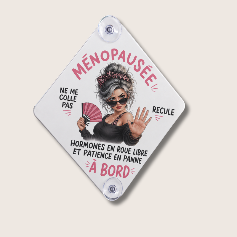 Plaque de Voiture Personnalisée Aluminium Adulte– Ventouses